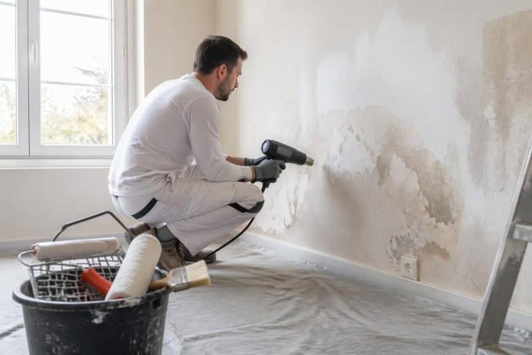 découvrez les précautions essentielles à prendre pour repeindre un mur après un dégât des eaux et garantir une finition durable et sans problème.